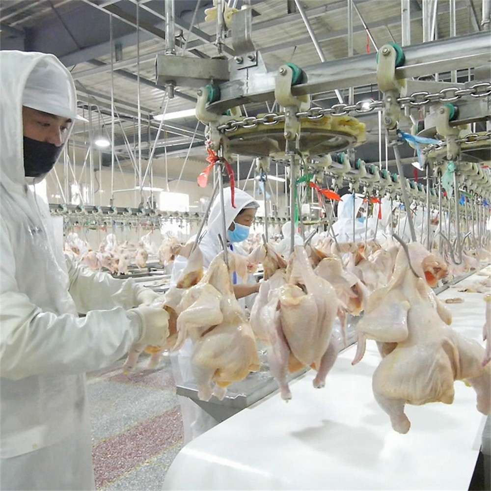 雞肉處理工廠